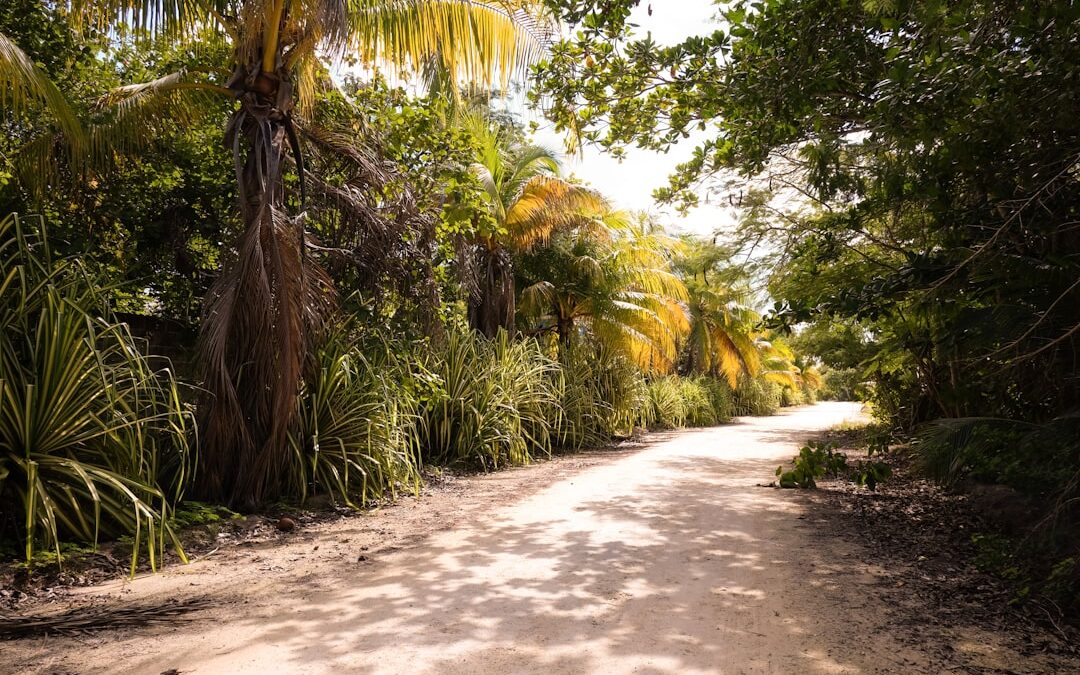 El Sendero de los Exploradores: Descubriendo rutas turísticas únicas