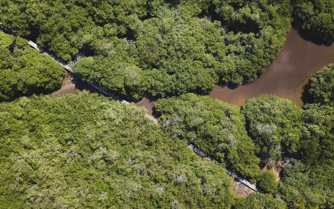 Descubre los rincones mágicos del planeta