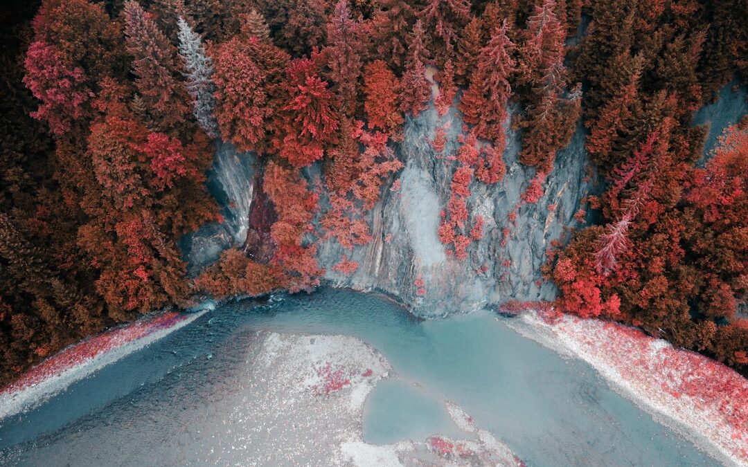 Descubre los paraísos naturales del mundo