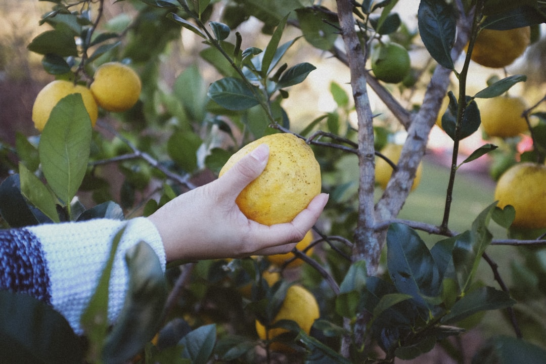 Descubre los Tesoros Culinarios del Mundo: Experiencias Únicas